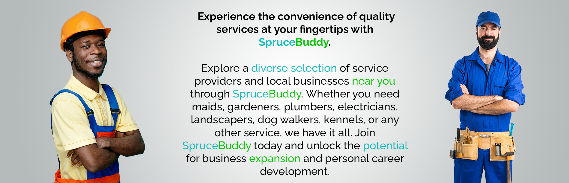 How does SpruceBuddy work?